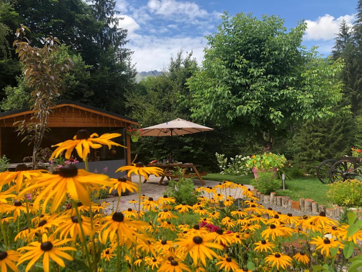 Le Moulin Des Olirics Villa Sallanches Kültér fotó