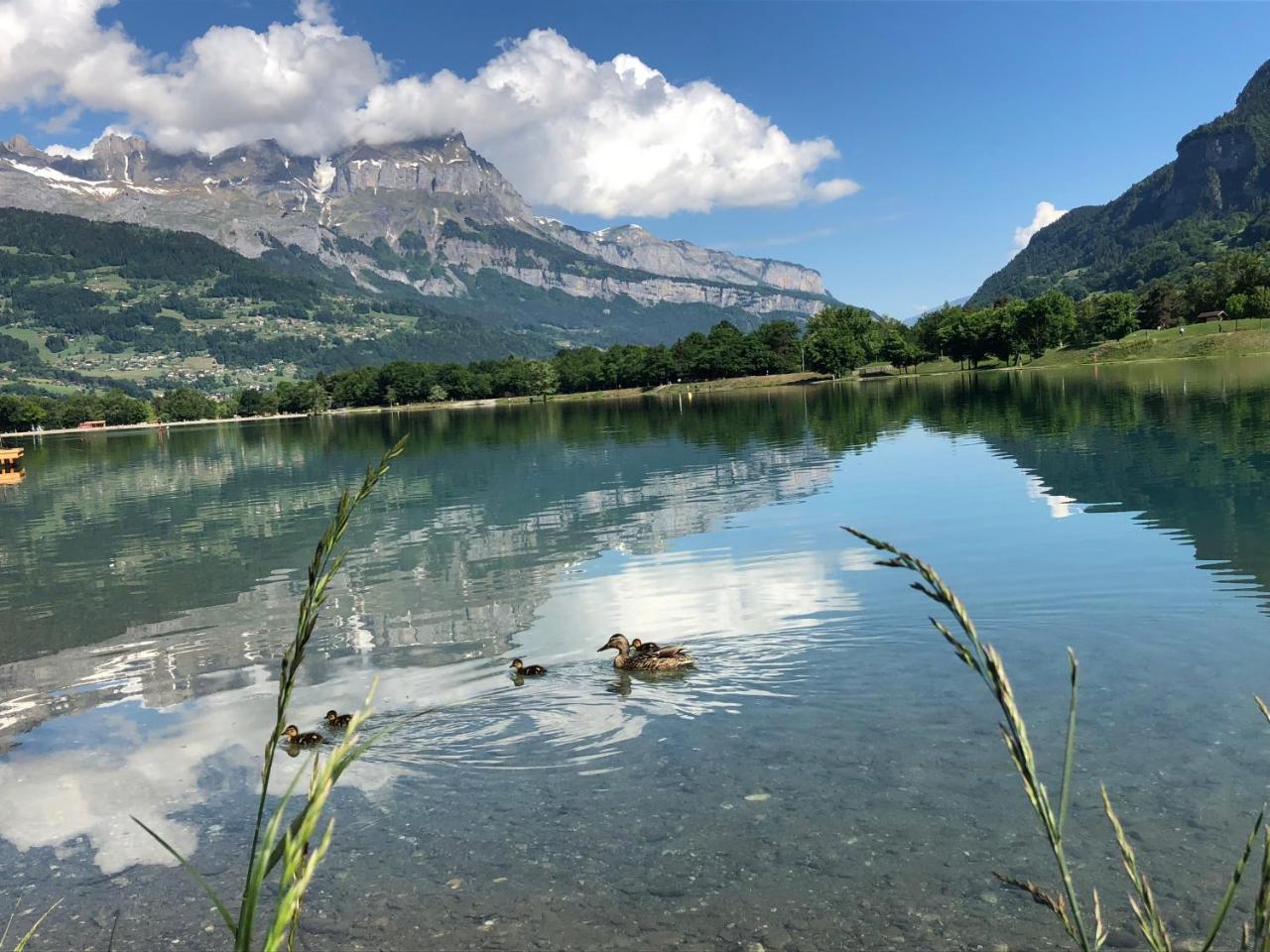 Le Moulin Des Olirics Villa Sallanches Kültér fotó