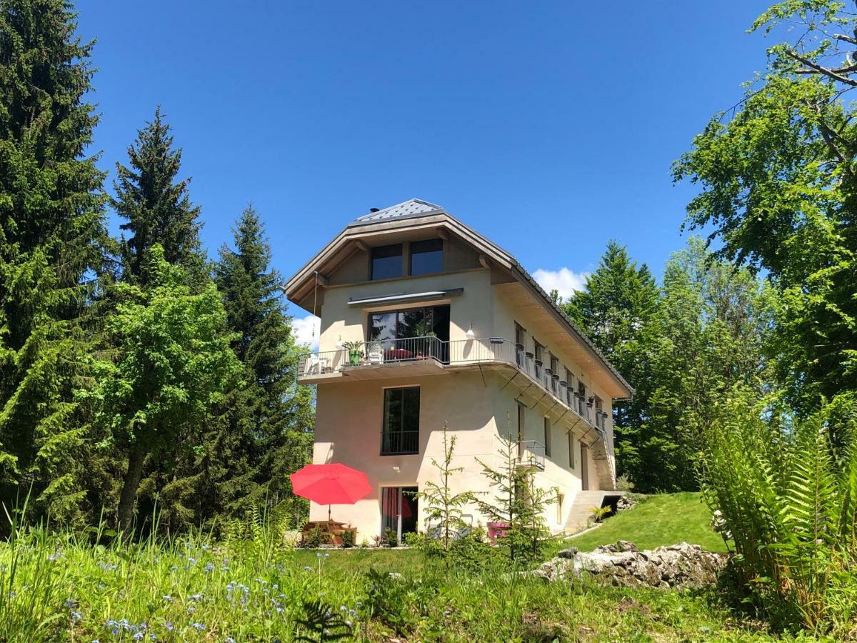 Le Moulin Des Olirics Villa Sallanches Kültér fotó