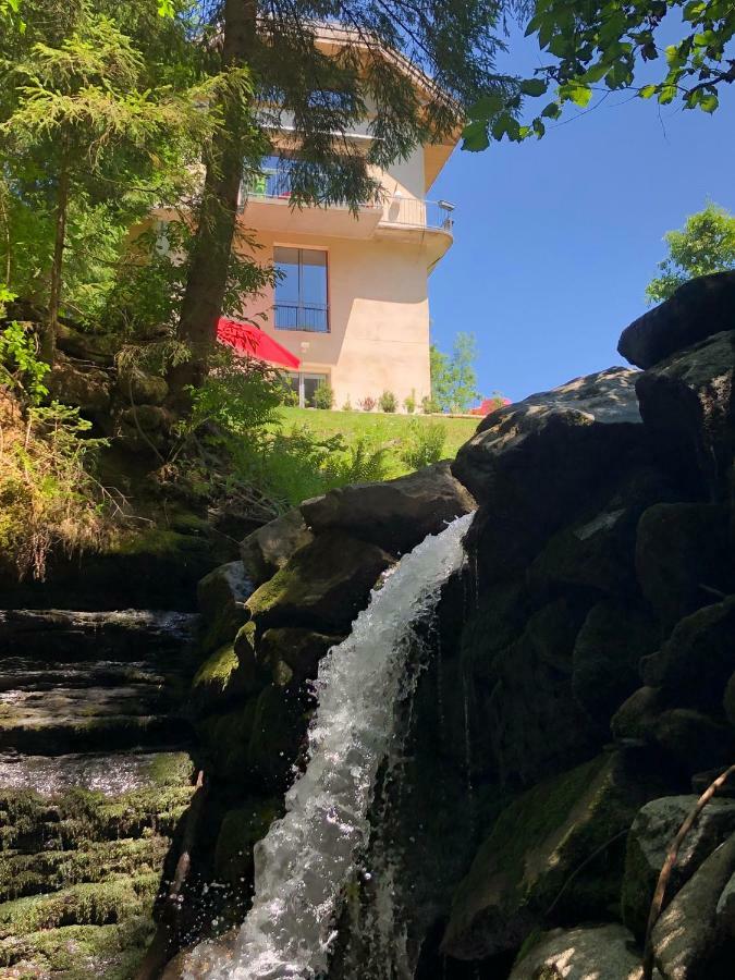 Le Moulin Des Olirics Villa Sallanches Kültér fotó